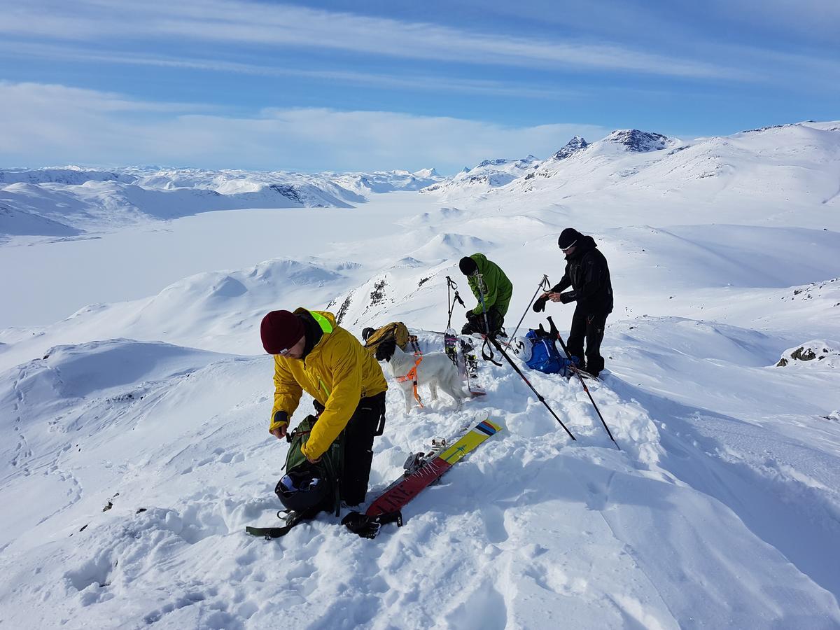 Bygdin Hoyfjellshotell Beitostolen Extérieur photo