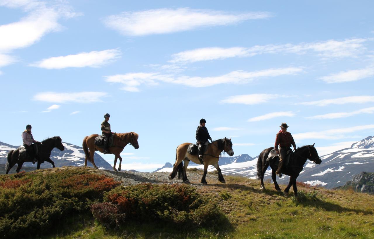 Bygdin Hoyfjellshotell Beitostolen Extérieur photo