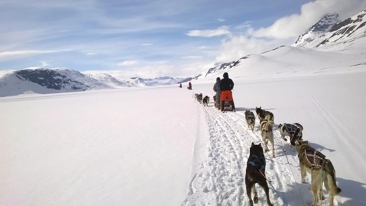 Bygdin Hoyfjellshotell Beitostolen Extérieur photo